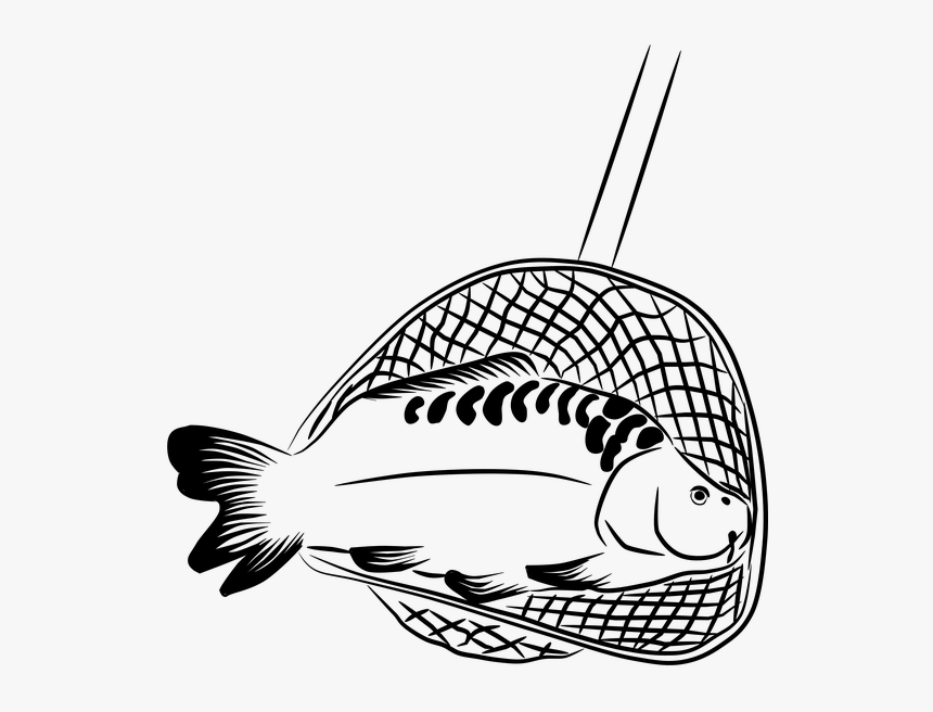 Landing Net Keser Carp Fish Fisherman Harvesting - Fish Net Clipart Black And White, HD Png Download