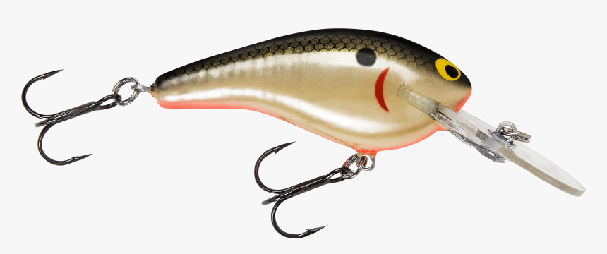 Bass Fish Png Clipart Best, Transparent Png