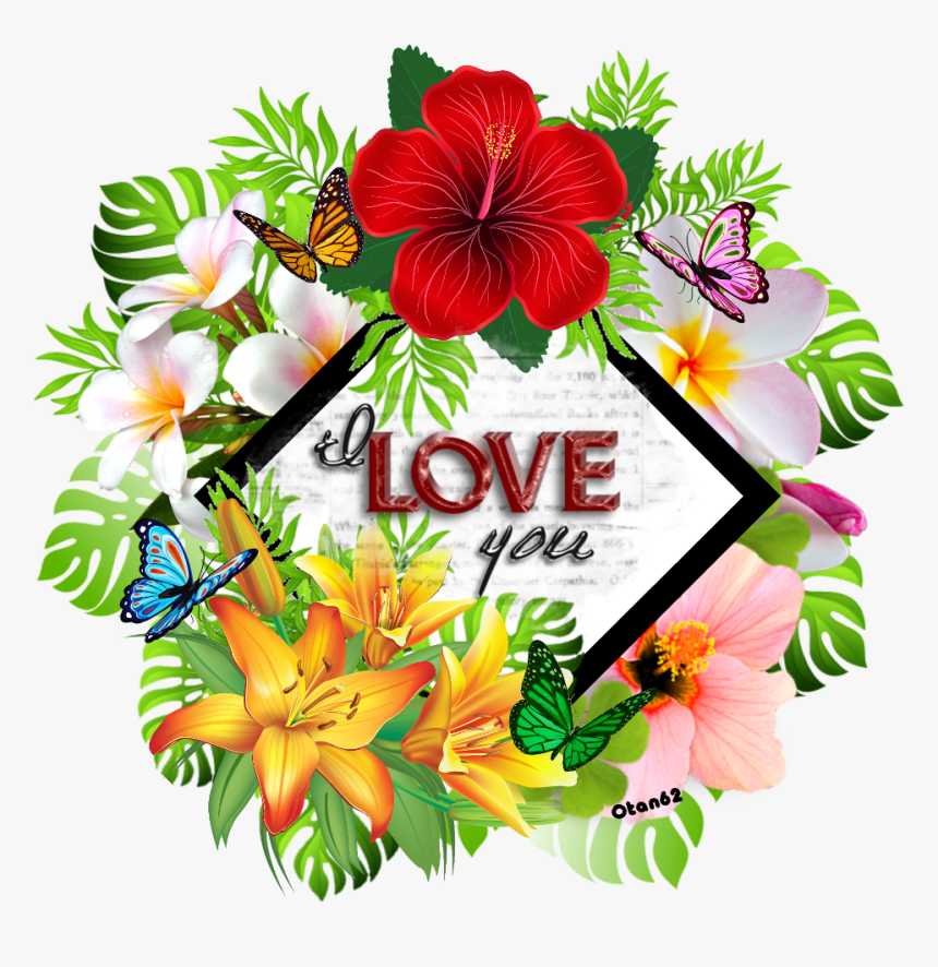 #otan62 #tropical #island #love, Hd Png Download ,, Transparent Png
