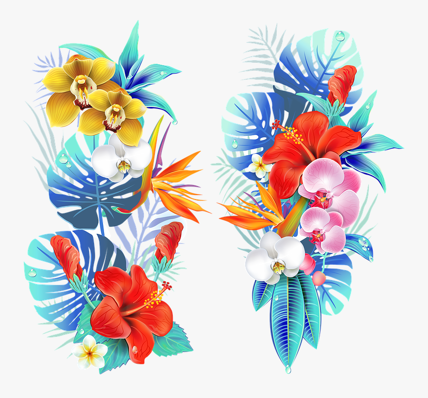 Tropical, Medellin, Flowers, Fair Of Flowers, Field - Tropical Flowers, HD Png Download