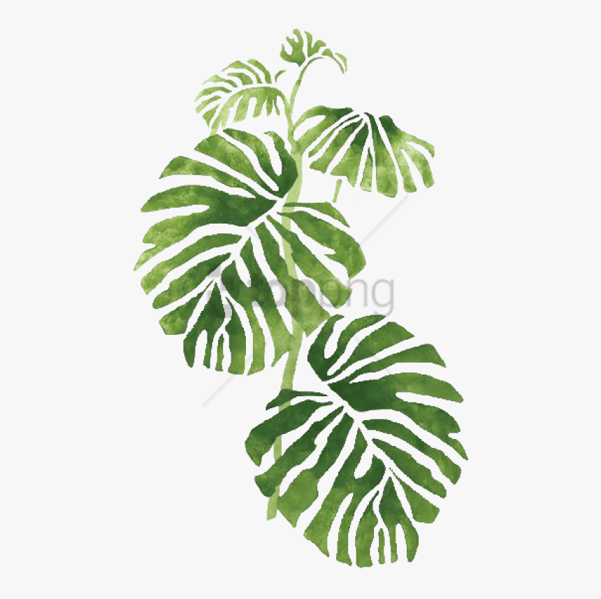 Free Png Transparent Tropical Png Image With Transparent - Leaves Png, Png Download