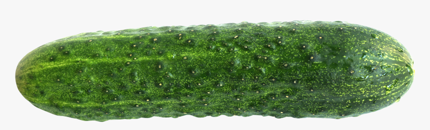 Cucumber Png Image - Cucumber Png, Transparent Png