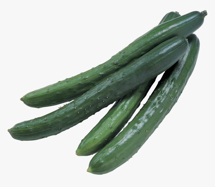 Grab And Download Cucumber In Png - Cucumber Pickle Transparent, Png Download