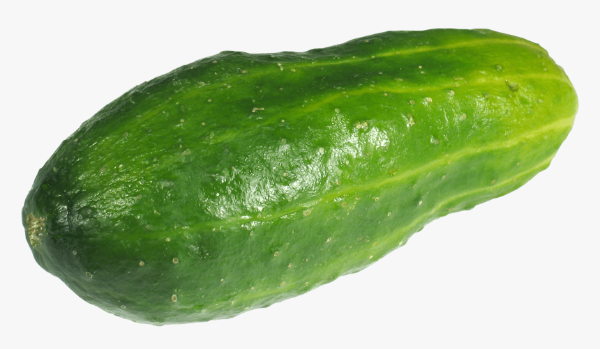 Large Green Cucumber, HD Png Download