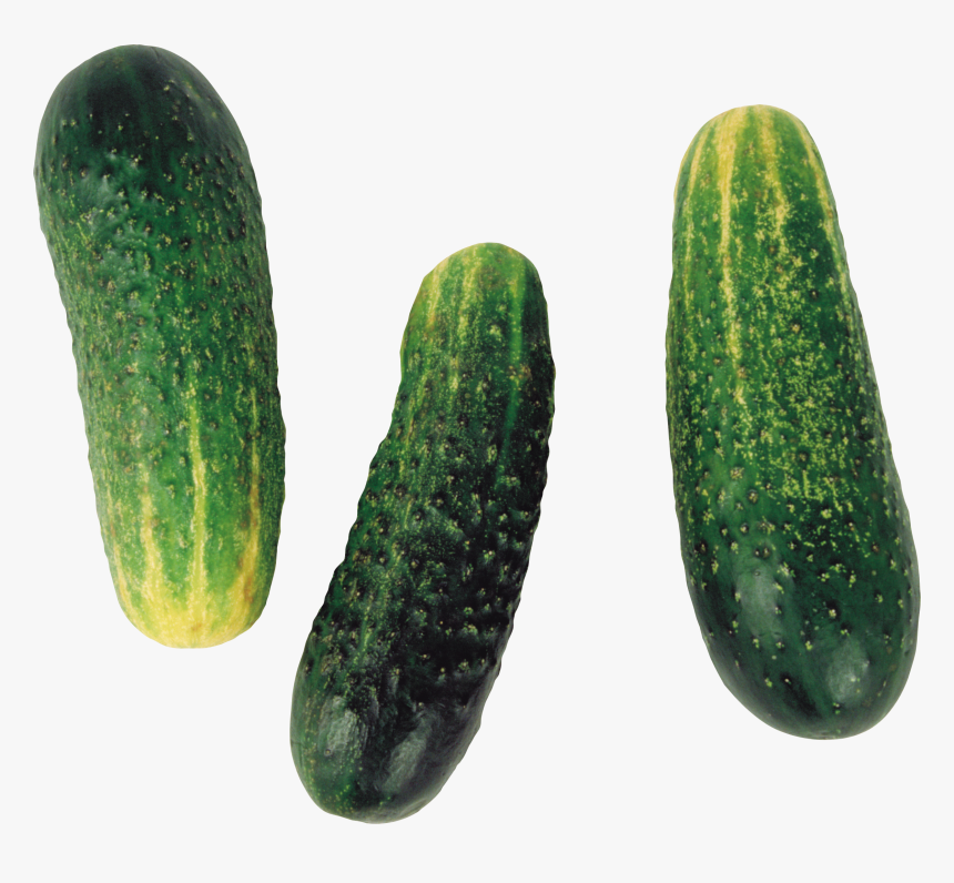 Cucumber Png Image, Transparent Png