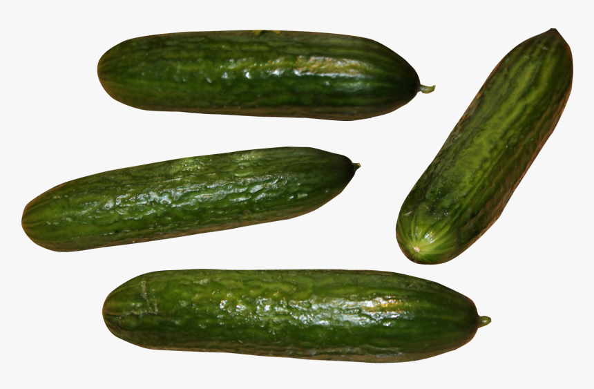Cucumber, HD Png Download