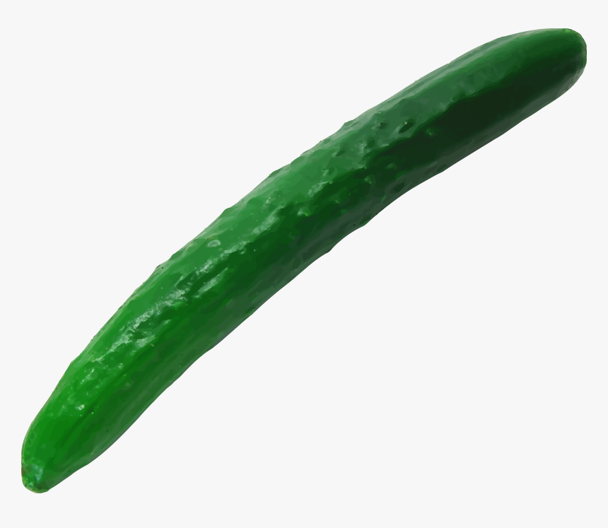 Clip Art Cucumber Images - Cucumber Long Png, Transparent Png
