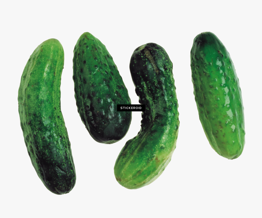 Cucumber , Png Download - Portable Network Graphics, Transparent Png