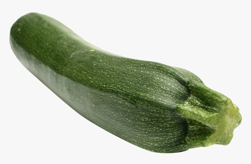 Transparent Cucumber Clipart - Zucchini Png, Png Download