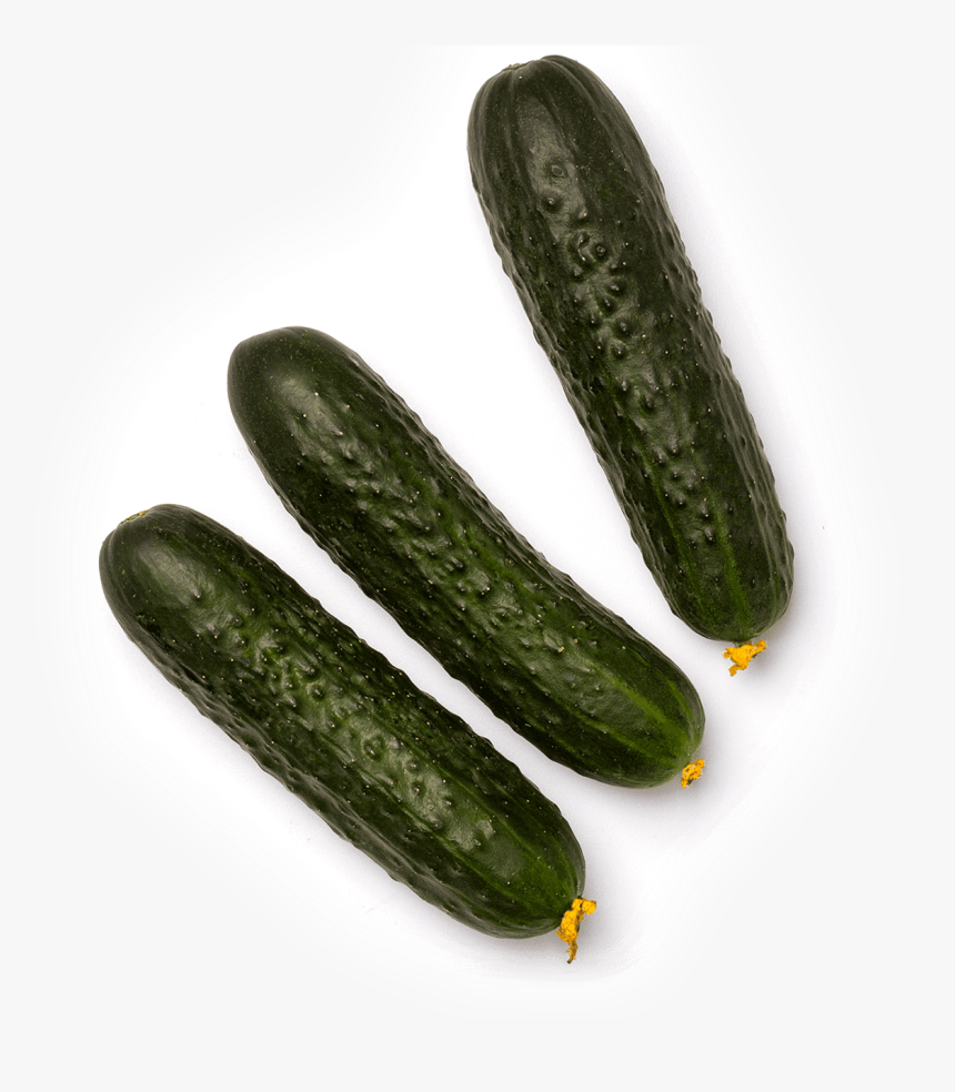 Summer-squash - Zucchini, HD Png Download
