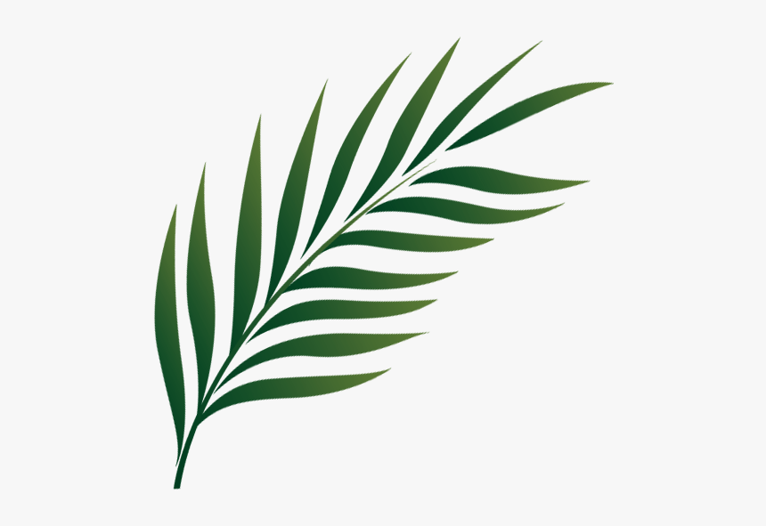Palm Sunday Png - Holy Week Icon Png, Transparent Png