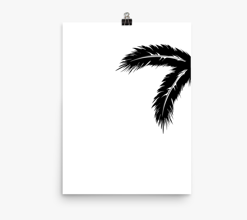 Attalea Speciosa, HD Png Download