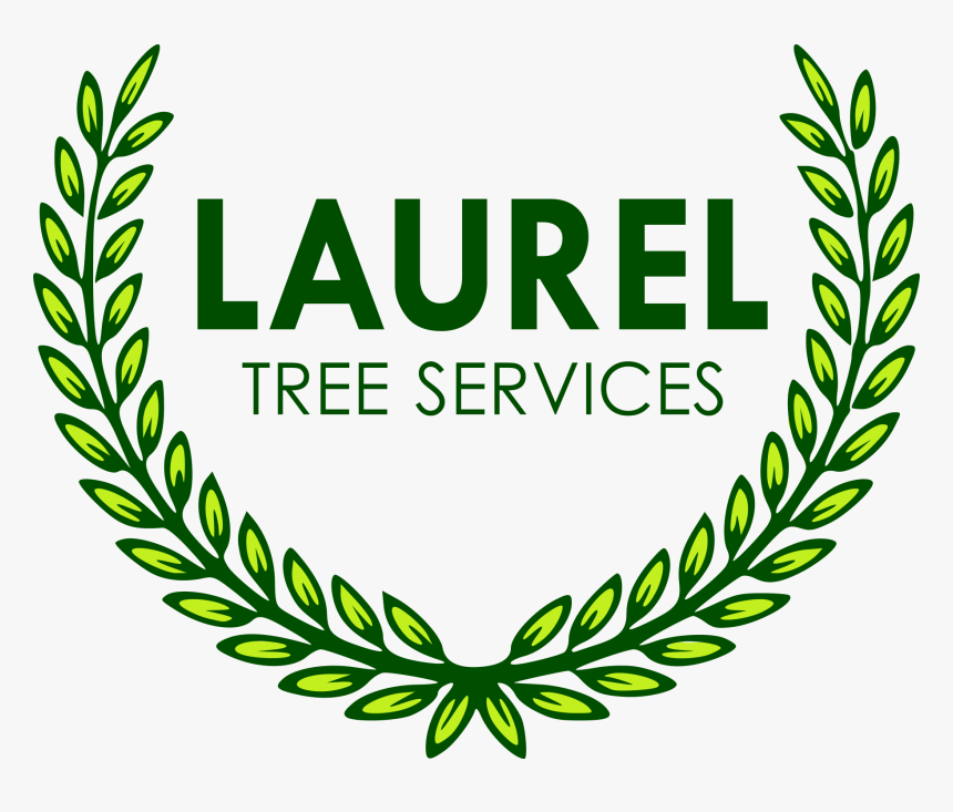 Laurel Tree Services - Success Academy Logo Png, Transparent Png