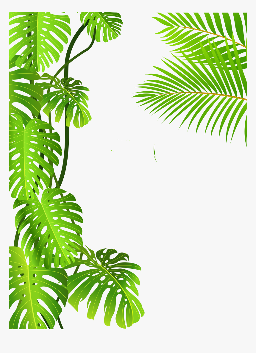 Jungle Leaves Clip Art Jungle Illustration Plant Leaves