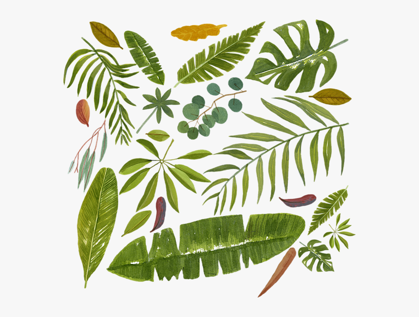 Illustration, HD Png Download