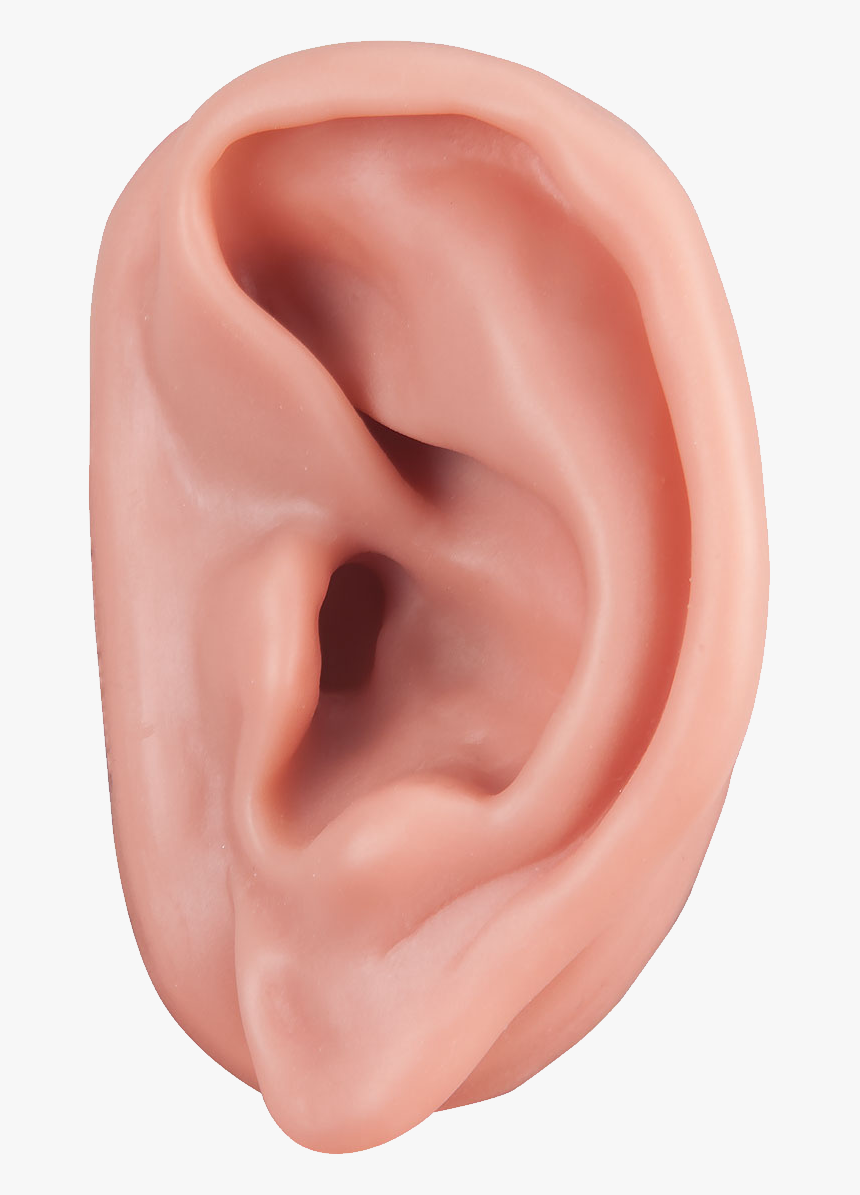 Ear Png, Transparent Png