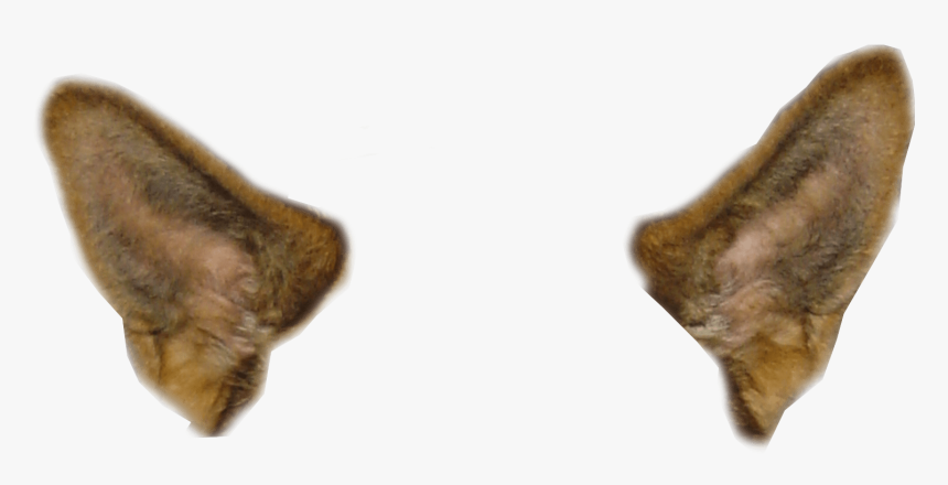 Snapchat Filter Dog Ears - Dog Ear Clip Art, HD Png Download