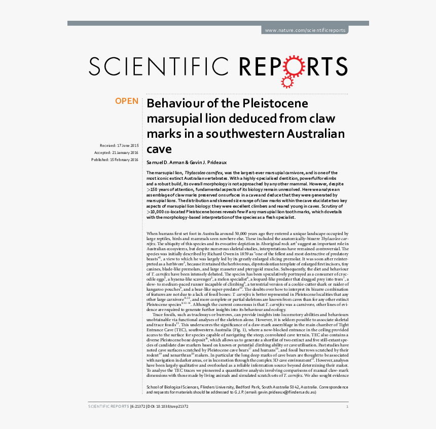 Folio Eight From Burchard Of Sion's De Locis Ac Mirabilibus, HD Png Download