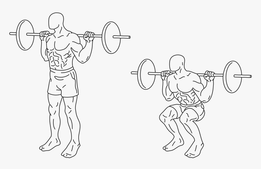 Squats Exercise, HD Png Download