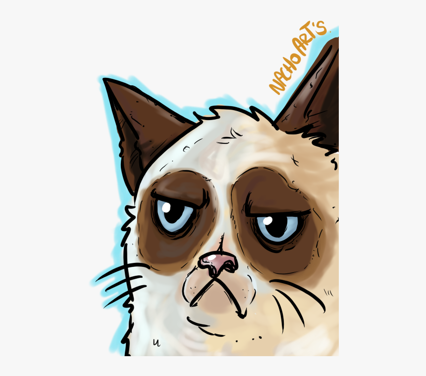 Grumpy Cat By Artedenacho - Cartoon, HD Png Download