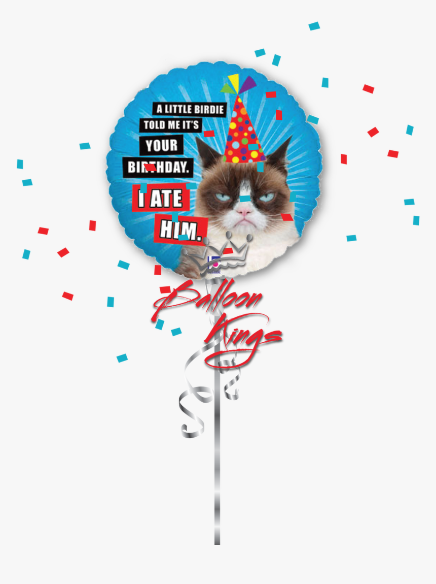 Hb Grumpy Cat - Get Well Soon Balloon Transparent, HD Png Download