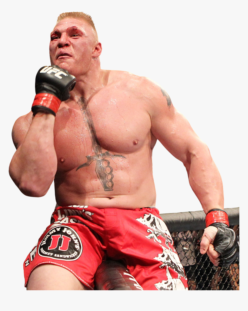 Brock Lesnar Ufc - Ufc No 1 Fighter, HD Png Download