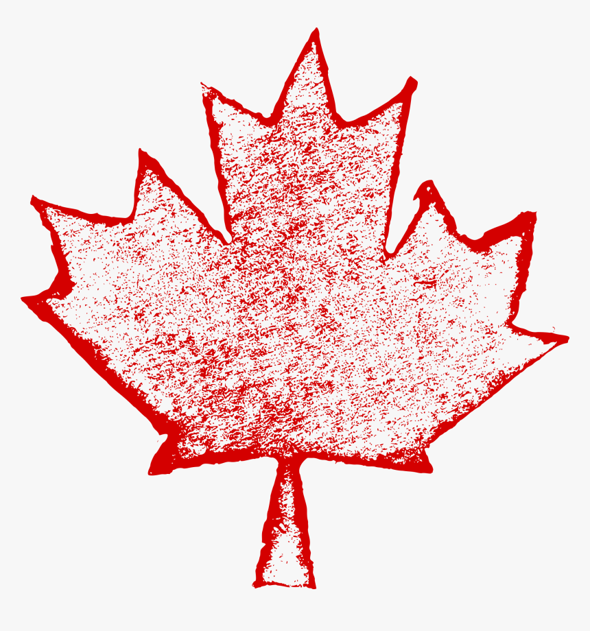 Maple Leaf Png, Transparent Png