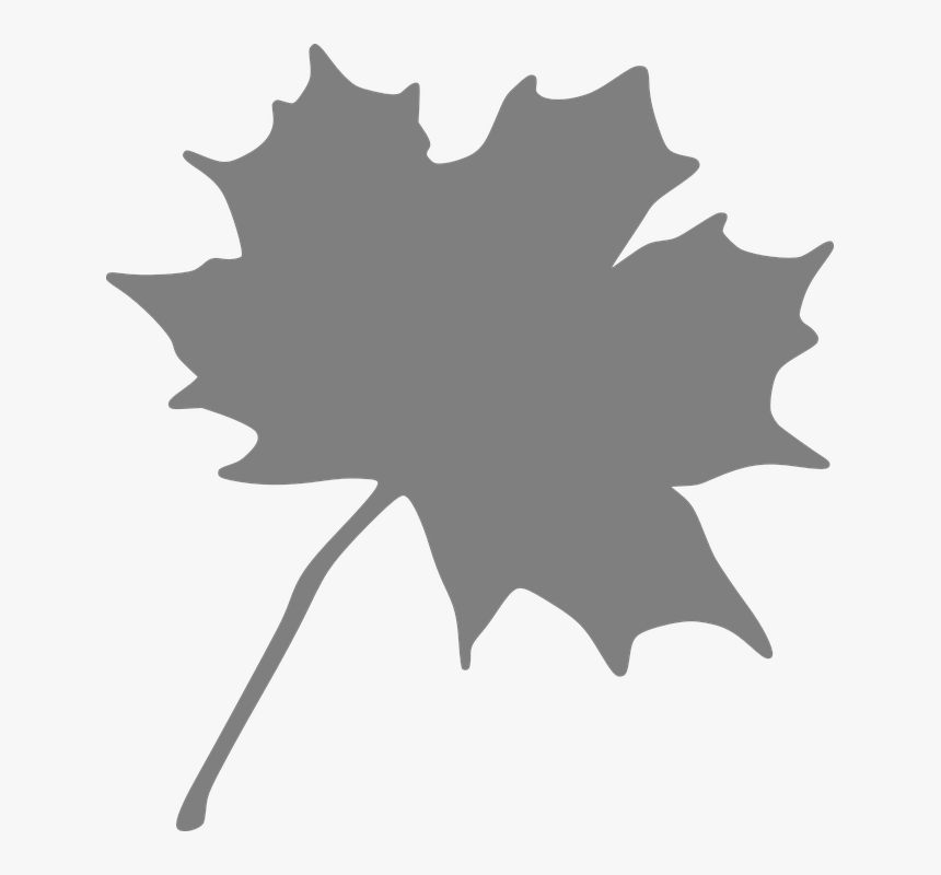 Maple, Leaf, Grey - Orange Maple Leaf Clipart, HD Png Download