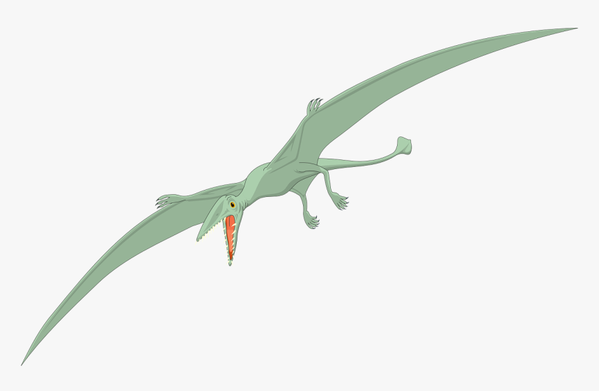 Dinosaur, HD Png Download