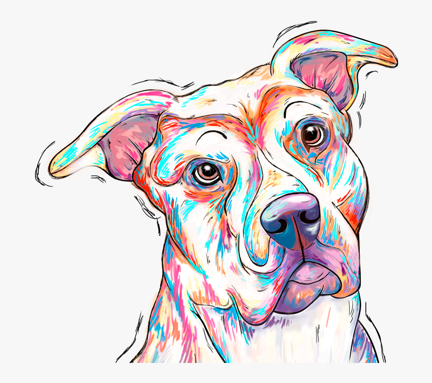 Pitbull - Companion Dog, HD Png Download