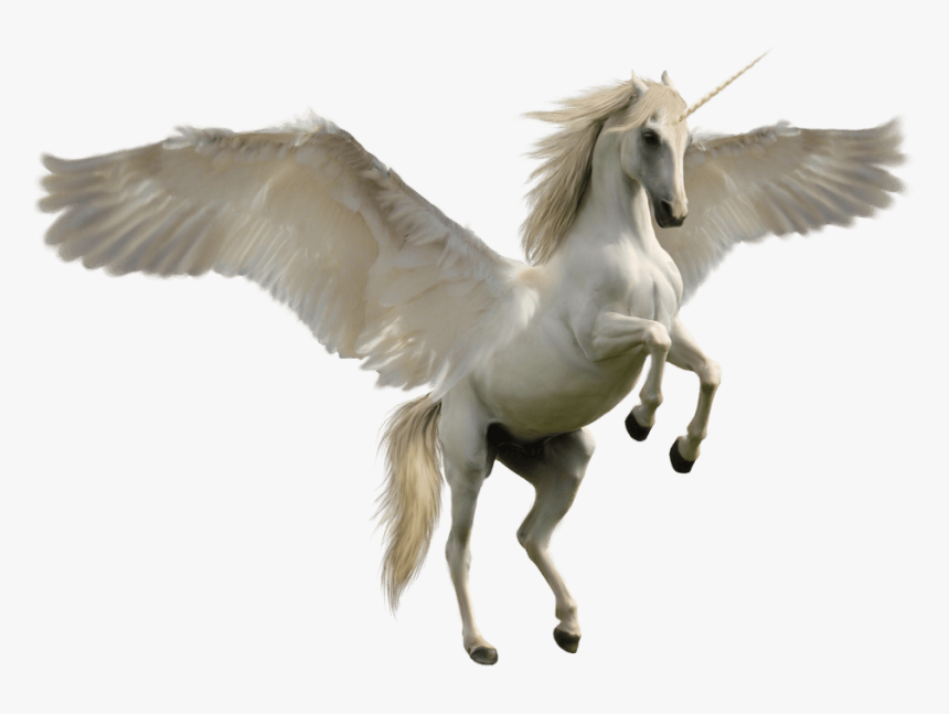 Unicorn Jump - Unicorn Horse, HD Png Download