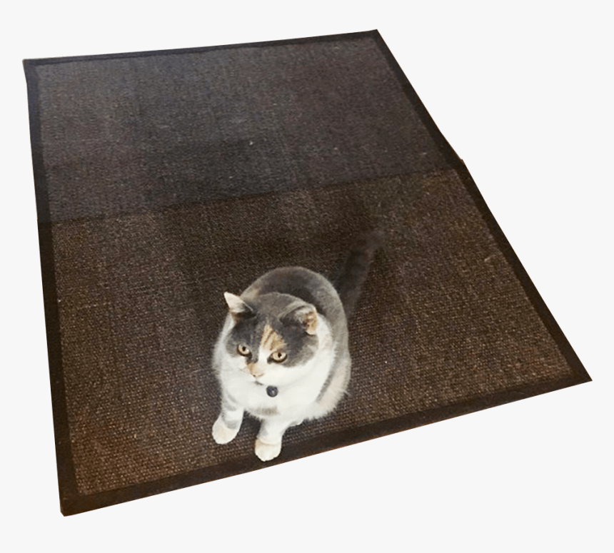 Cat Rug No Background Image Transparent Background - Domestic Short-haired Cat, HD Png Download