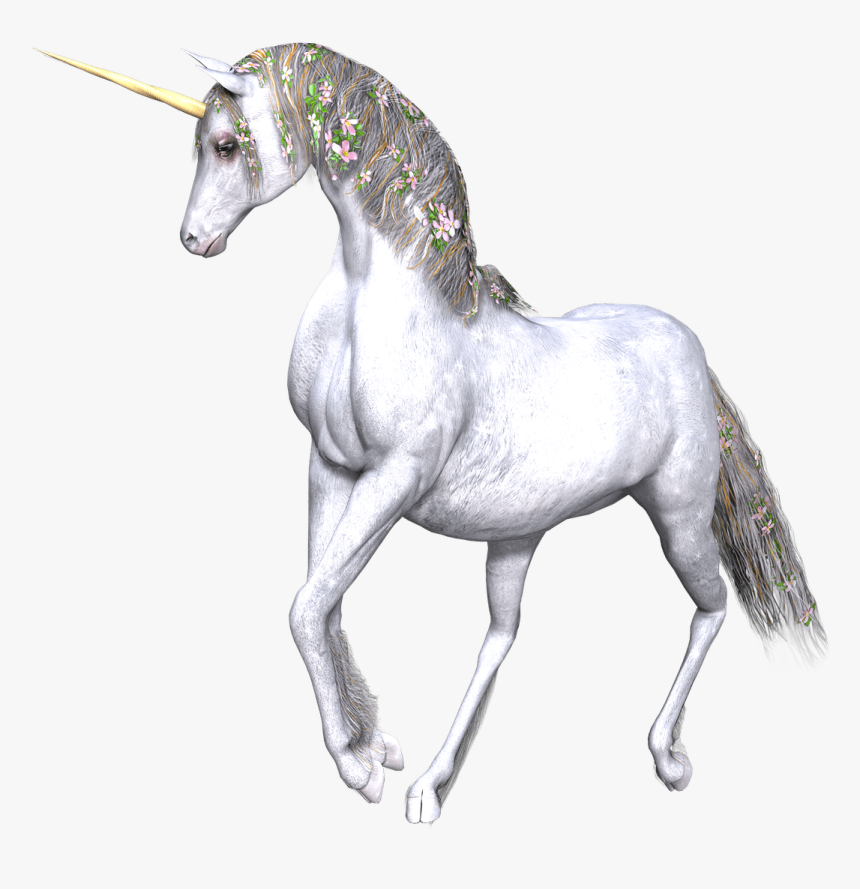 Full White Unicorn Flowers In Manes - Mythical Creature Transparency, HD Png Download