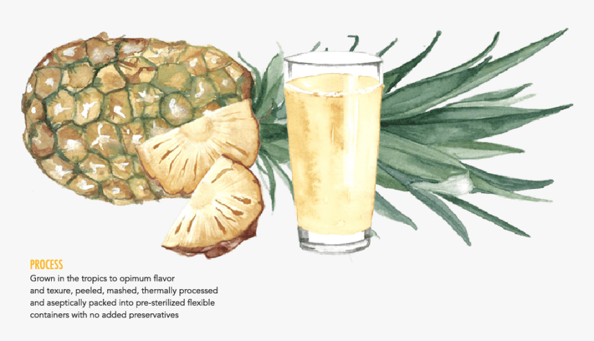 Pineapple Juice Glass Png - Pisco Punch, Transparent Png