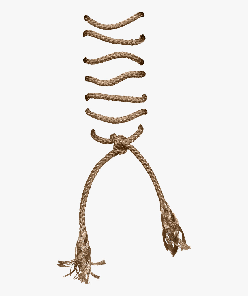 Shoelaces Png Transparent Image - Shoelaces Png, Png Download