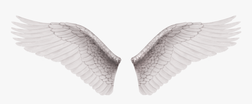 Cb Edit Wings Png - Alas De Angel Reales, Transparent Png