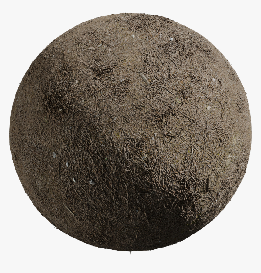 Circle, HD Png Download