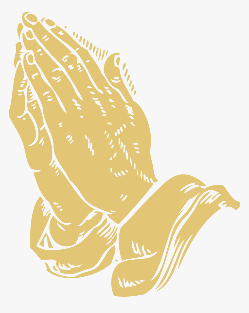 Art,carnivoran,beak - Praying Hands Png, Transparent Png