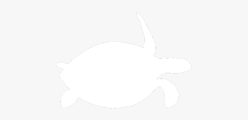 Kemp's Ridley Sea Turtle, HD Png Download