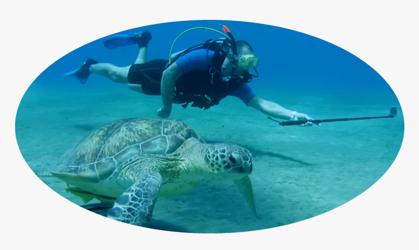 Underwater, HD Png Download