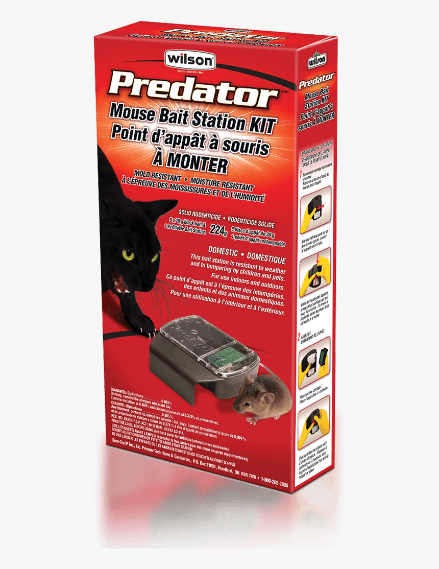 Mouse Bait Reusable Station Kit - Domestic Short-haired Cat, HD Png Download