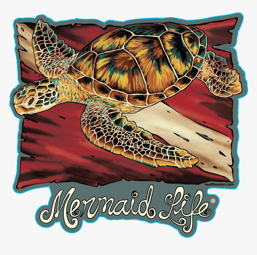 Sea Turtle Png, Transparent Png