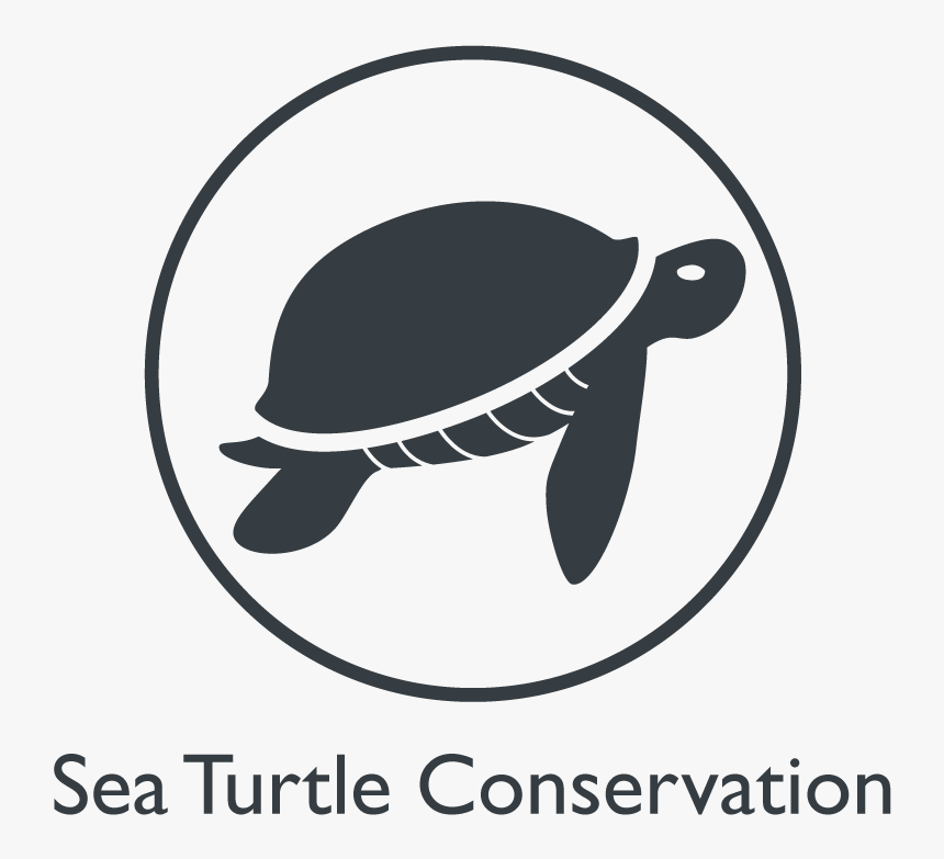 10 Years, HD Png Download