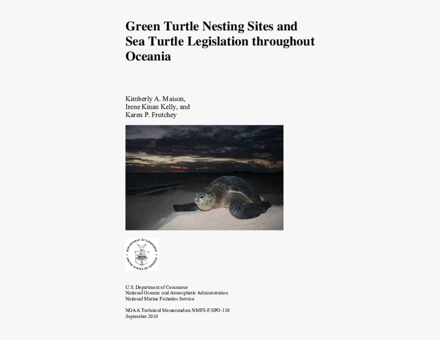 Leatherback Sea Turtle, HD Png Download