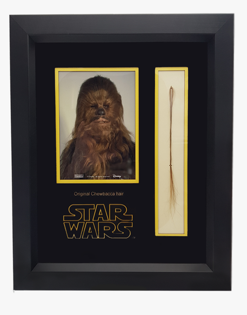 Picture Frame, HD Png Download