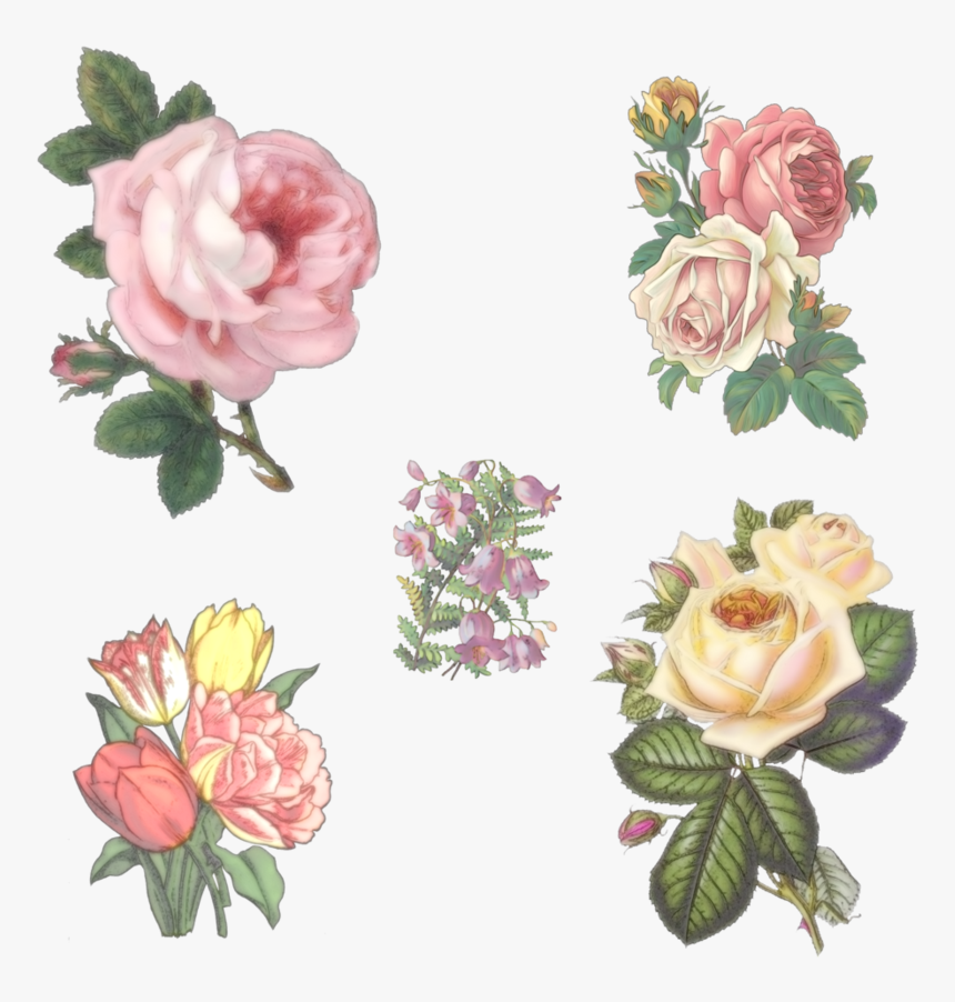 5 Vintage Flowers By Victorian-lady - Vintage Flowers Drawings Png, Transparent Png