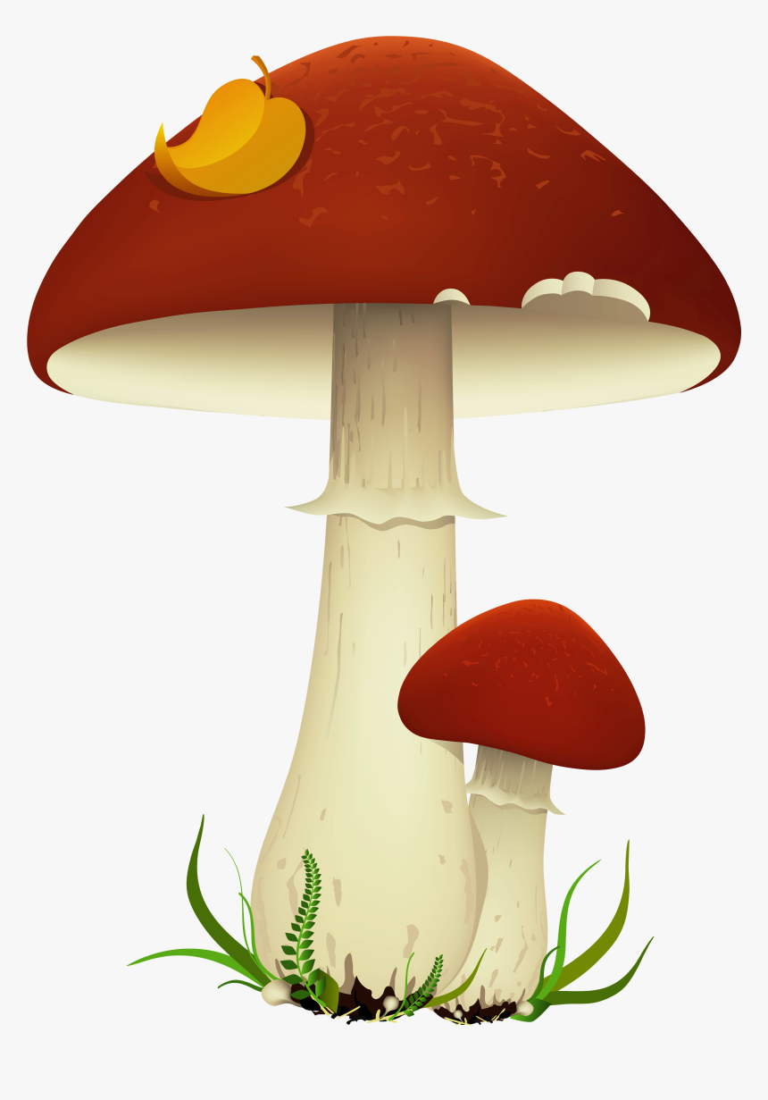 Mushroom Cloud Mario Mushroom Clipart No Background - Mushrooms Clipart Transparent, HD Png Download