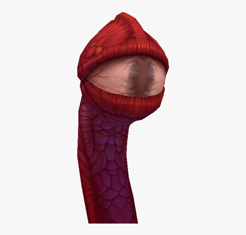 Illustration, HD Png Download