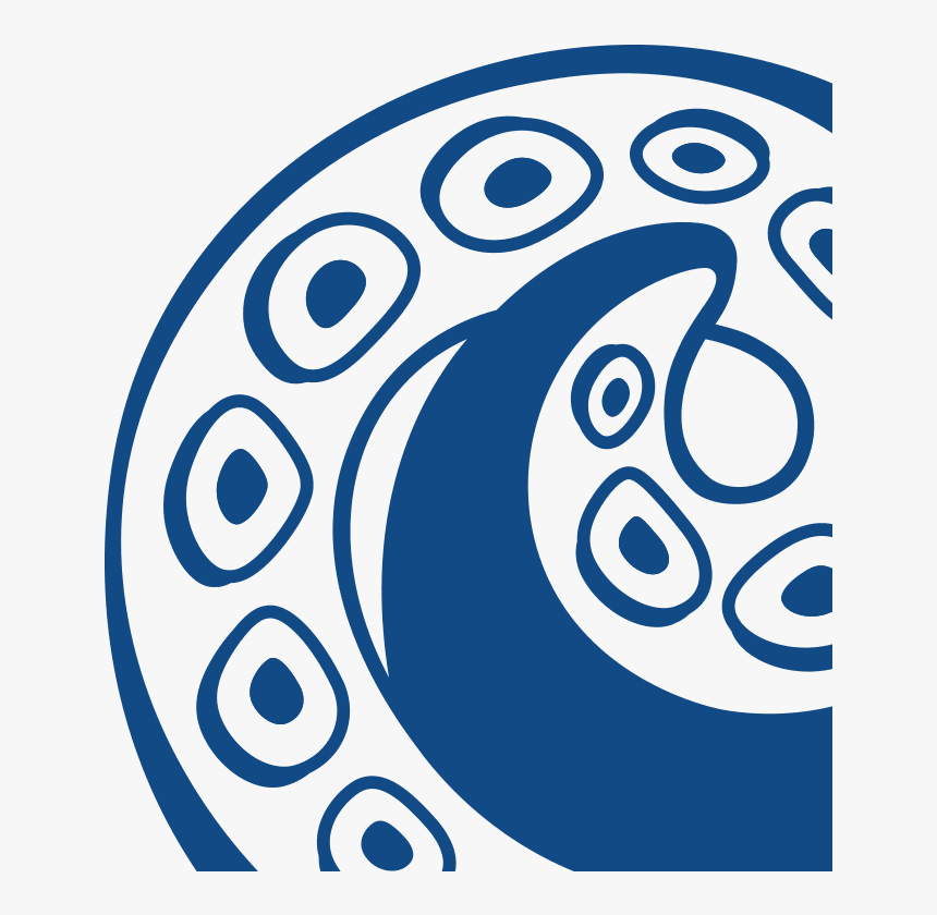 Circle, HD Png Download