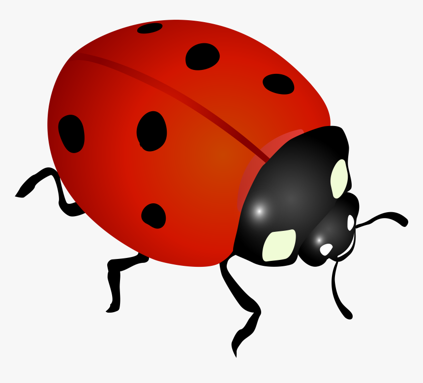 Mushroom Cloud Png, Transparent Png